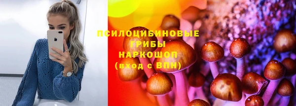 бутират Козловка