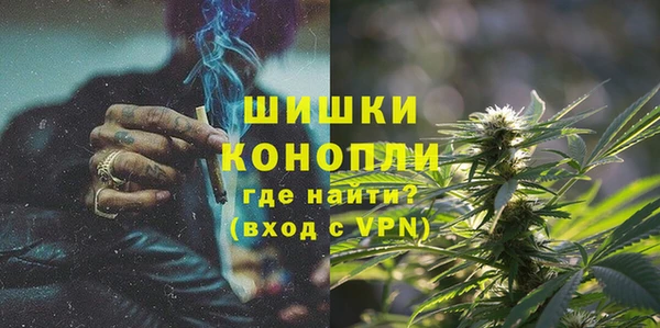 гидропоника Кодинск