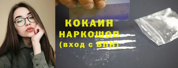 гидропоника Кодинск
