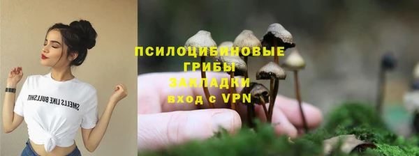 МДПВ Козельск