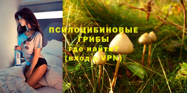 бутират Козловка