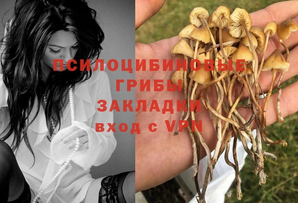 бутират Козловка